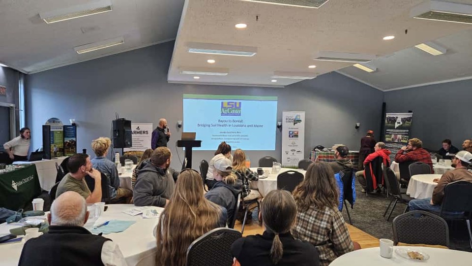 Leo giving a presentation