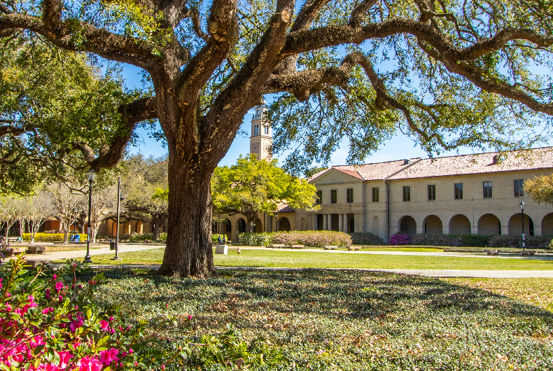 lsu quad with buildings