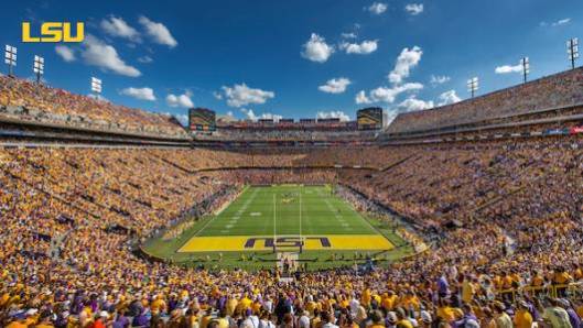 Gold Game in Tiger Stadium