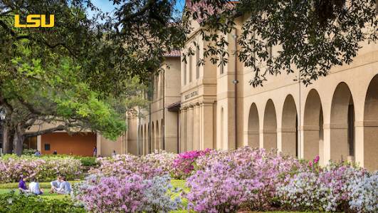 Azaleas in the Quad