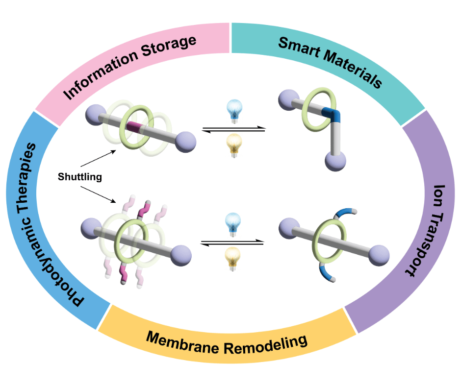 graphical abstract of applications reviewed for rotaxanes