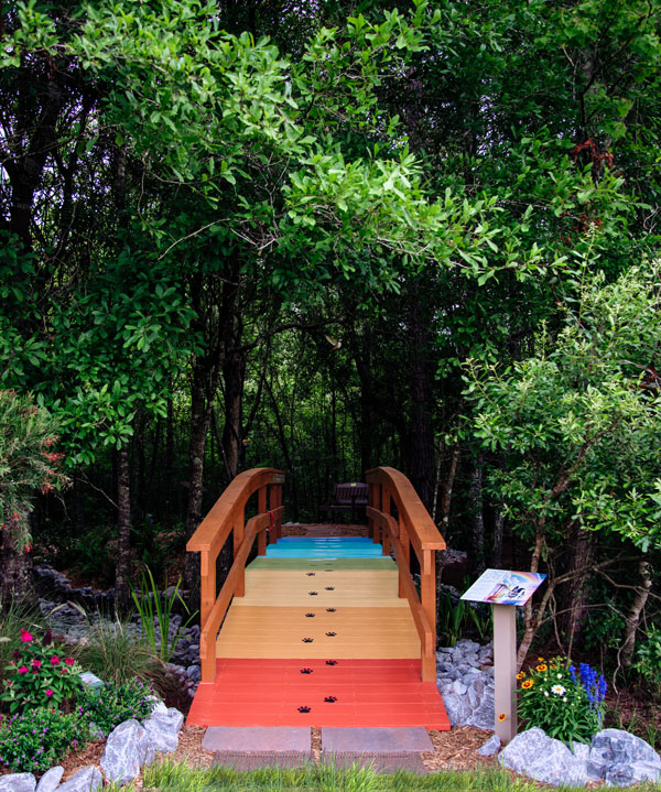 rainbow bridge