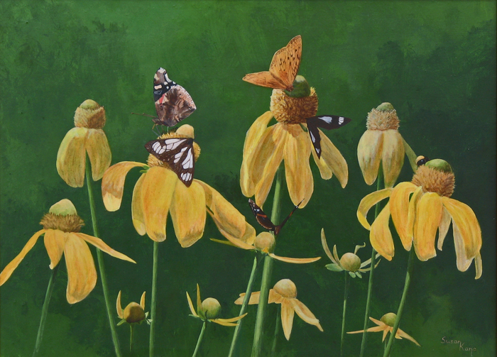 Butterflies and Coneflower Butterflies and Coneflower